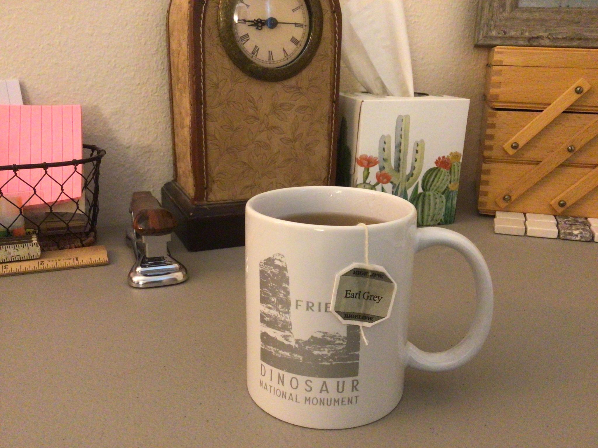 Friends of DNM Mug